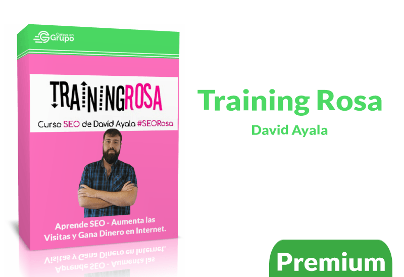 Descargar Training rosa David Ayala Curso SEO General