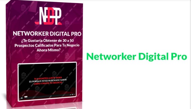 Networker Digital Pro